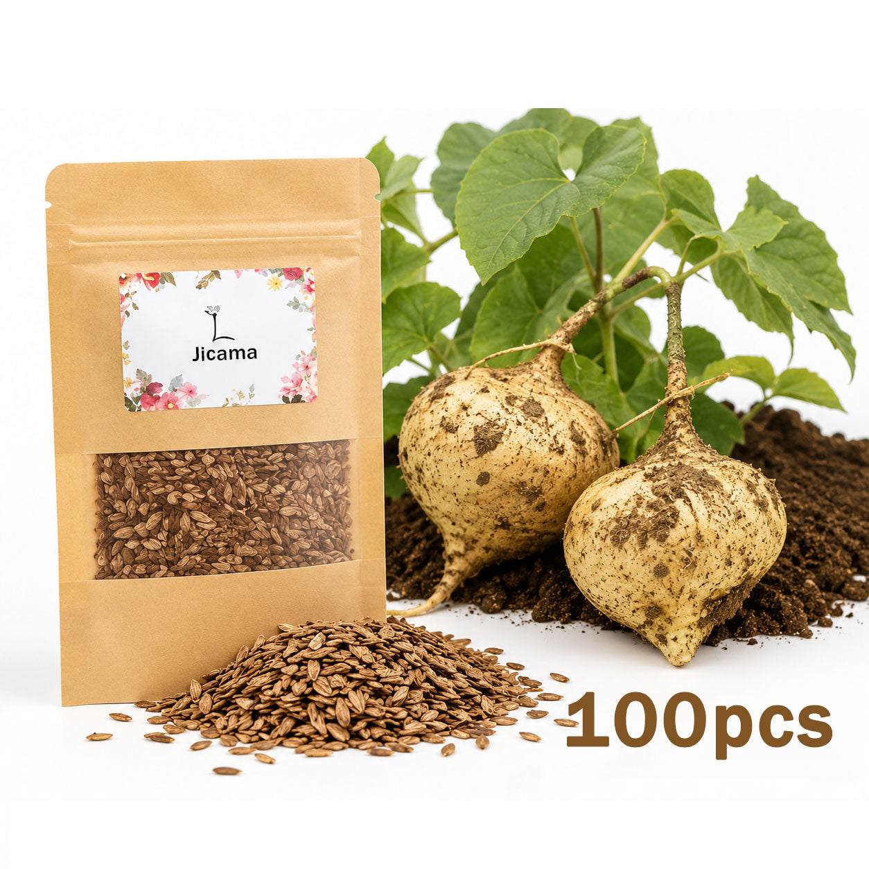 100Pcs Jicama Seed for Planting Drought Resistant Mexican Turnips