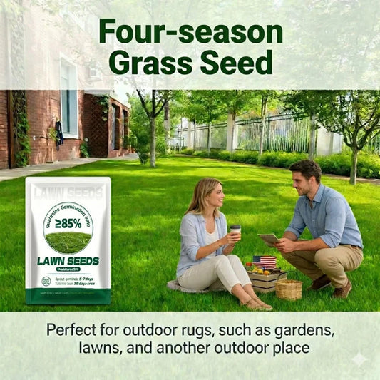 10,000-Grain Pack Evergreen Dwarf Grass Seed Easy to Grow