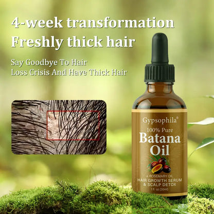Gypsophila Batana Oil with Rosemary for Hair Growth