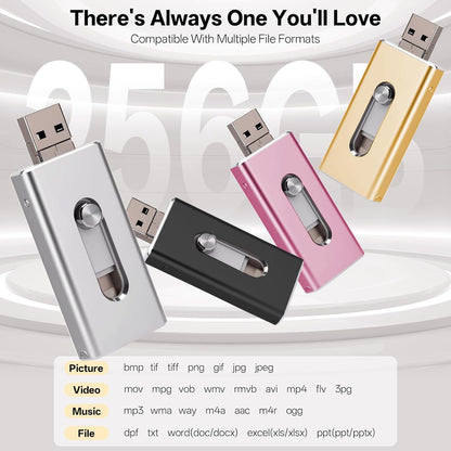 4-in-1 Flash Drive MFi Certified 256 GB Portable USB OTG Memory Stick