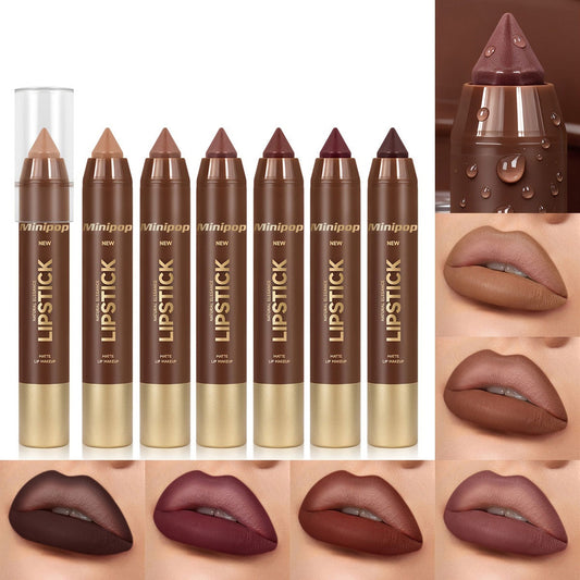 Mauve Brown Matte Lip Liner and Lipstick Combo Set Kit