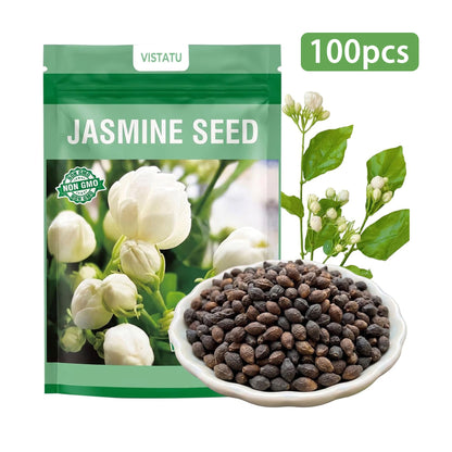 100PCS Climbing Jasmine Flower Seeds Fragrant Plant for Planting Garden