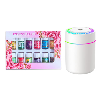Portable Color-Changing LED Humidifier with 12-Piece Essential Oil Set