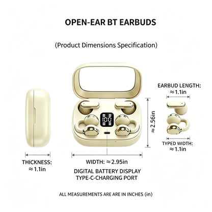 Fluffdrip Q10 2 Pairs in 1 Case Wireless Earbuds Bluetooth TWS Headphones