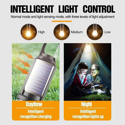 2 Pack Solar Rechargeable Waterproof Emergency Light Bulb