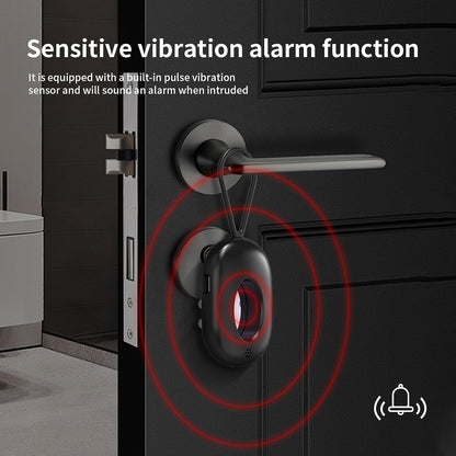 Anti-Spy Camera Detector & Hidden Insect Detector,Vibration Alarm and LED Flashlight Rechargeable