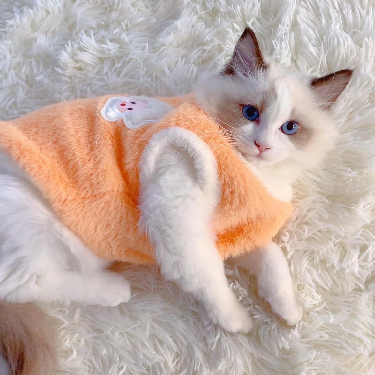 Warm Fluffy Fleece Pet Vest Cute Cartoon Embroidery