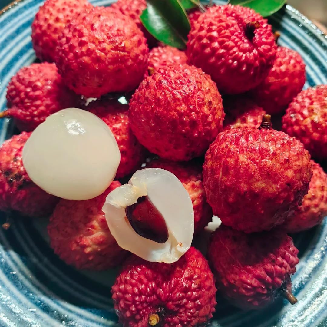 60 Pcs Sweet Lychee Fruit Seeds for Planting