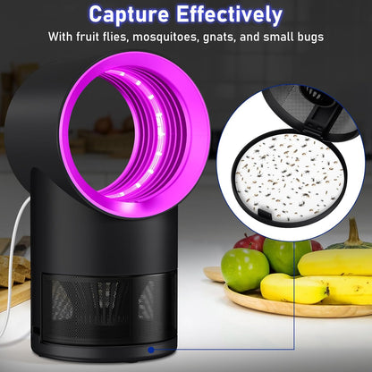 Fruit Fly Trap Indoor Insect Trap with Strong Suction