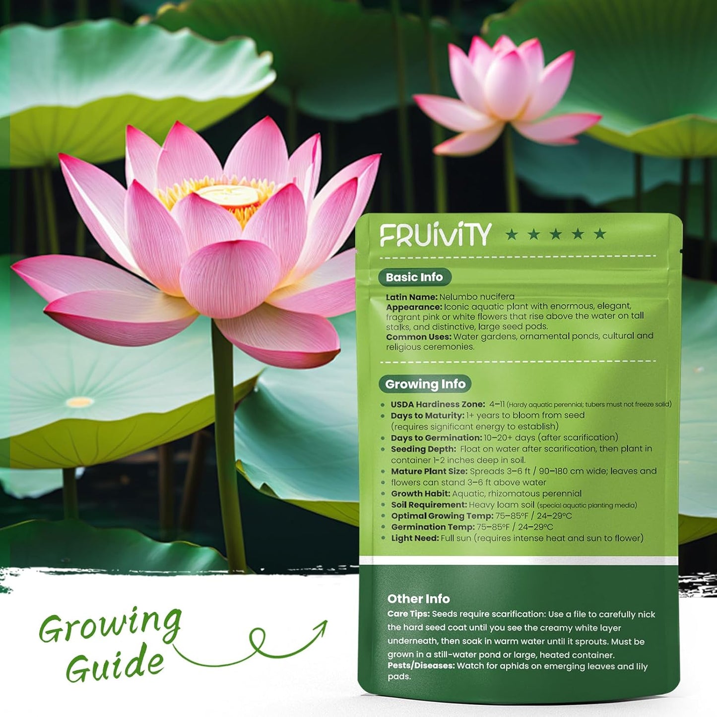 60 PCS Mixed Color Lotus Seeds for Planting in Water