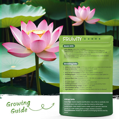 60 PCS Mixed Color Lotus Seeds for Planting in Water