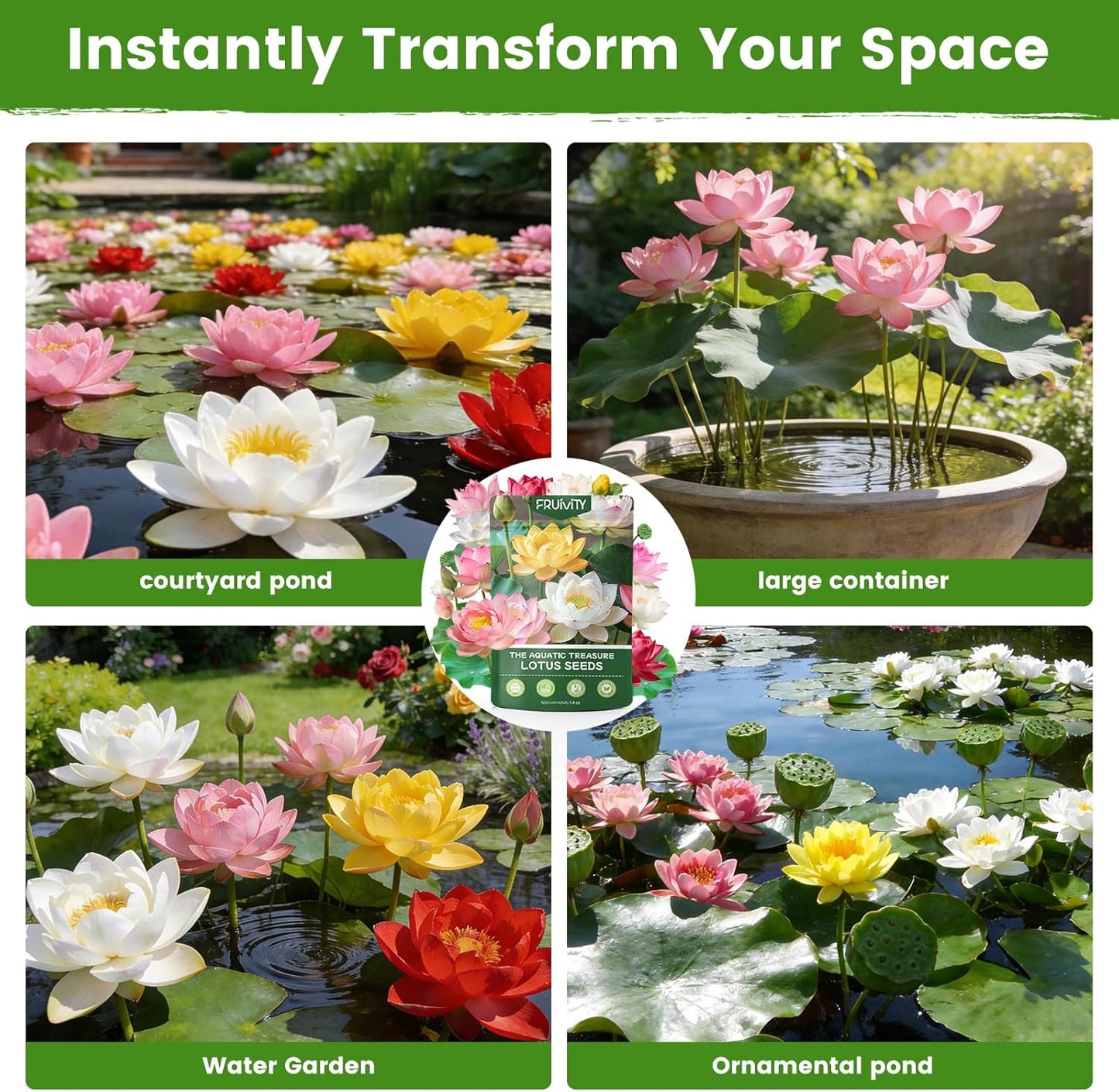 60 PCS Mixed Color Lotus Seeds for Planting in Water