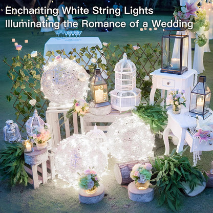 33ft 100 LED Multicolor Fairy Lights with Remote