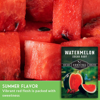 Watermelon Seeds Watermelon Organic Fruit Seasonal Sowing About 450pcs