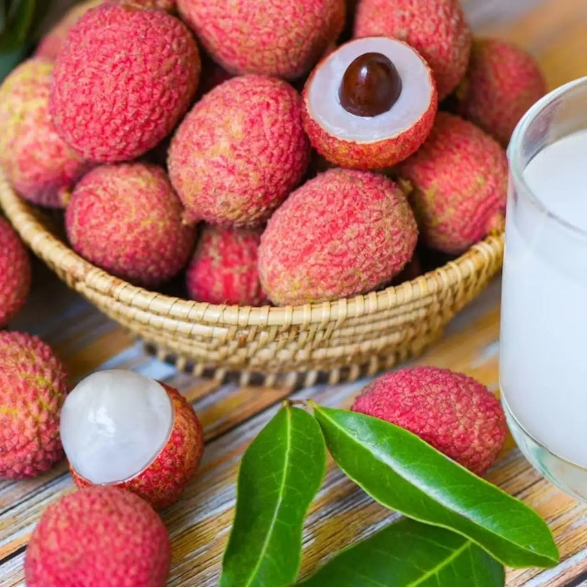 50 Giant Lychee Seeds Exotic Fruit Heirloom Sweet Tropical Fruit Litchi Chinensis Seed