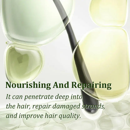 Gypsophila Batana Oil with Rosemary for Hair Growth