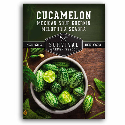 300PCS Cucamelon Seeds – Heirloom Mexican Sour Gherkin, Non-GMO Miniature Watermelon-Look Cucumbers