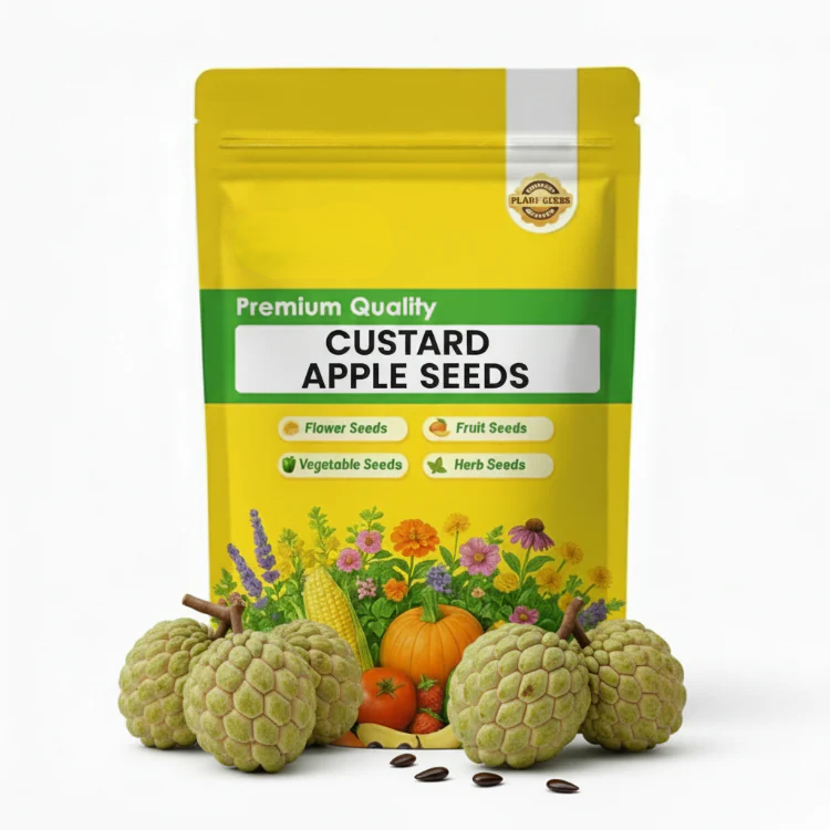 100 Custard Apple Seeds - Tropical Exotic Delicious Sweet Fruits - Non-GMO Fruit Seed