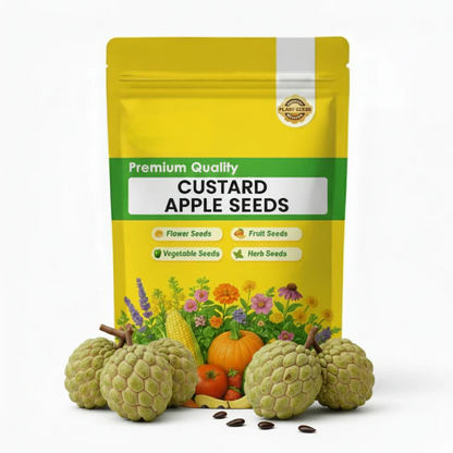 100 Custard Apple Seeds - Tropical Exotic Delicious Sweet Fruits - Non-GMO Fruit Seed