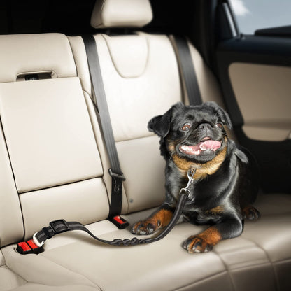 2Pcs 3 in 1 Pet Car Seatbelt Leash Removable Dog Seat Belt Harness for Car Adjustable Reflective Dog Seatbelt Tether