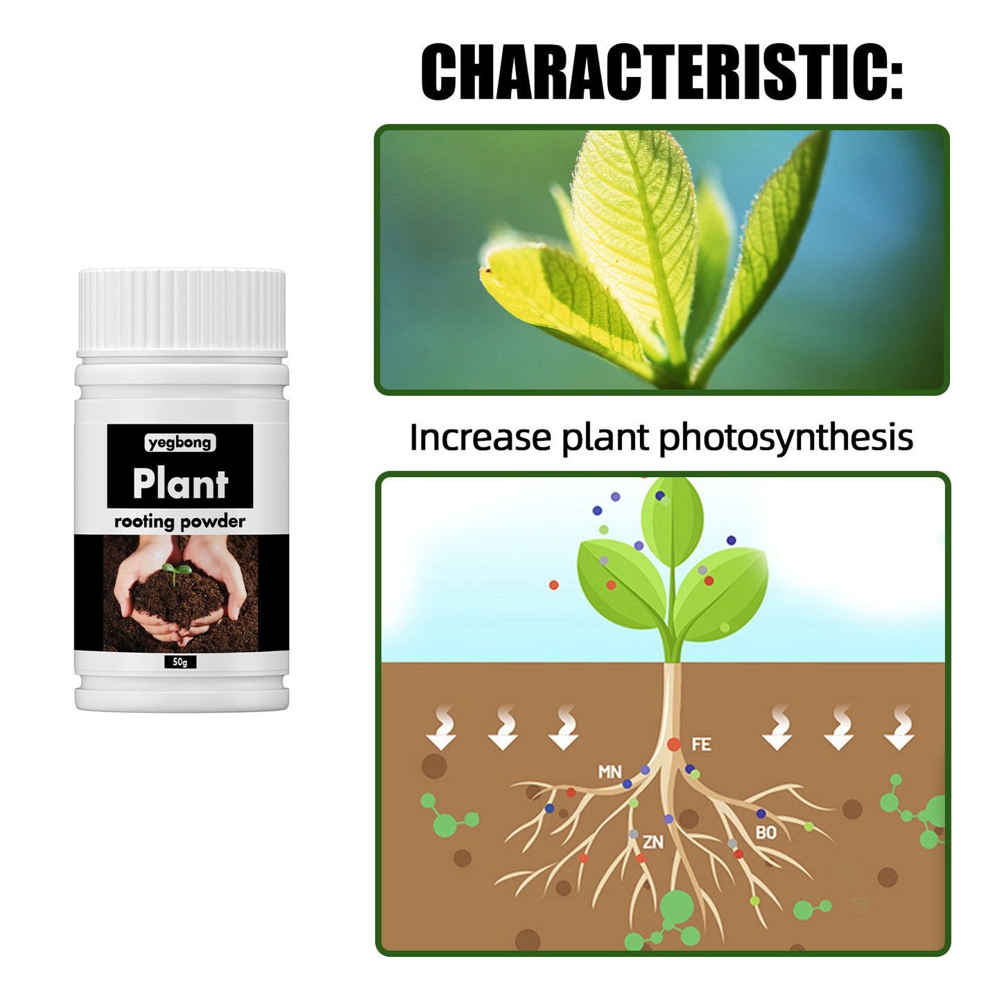 Universal Root-Promoting Nutrient Powder for Transplanting Trees and Fruit Trees