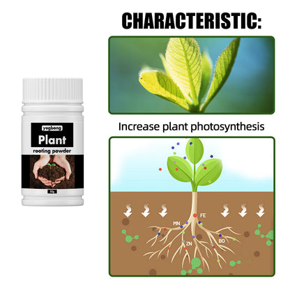 Universal Root-Promoting Nutrient Powder for Transplanting Trees and Fruit Trees