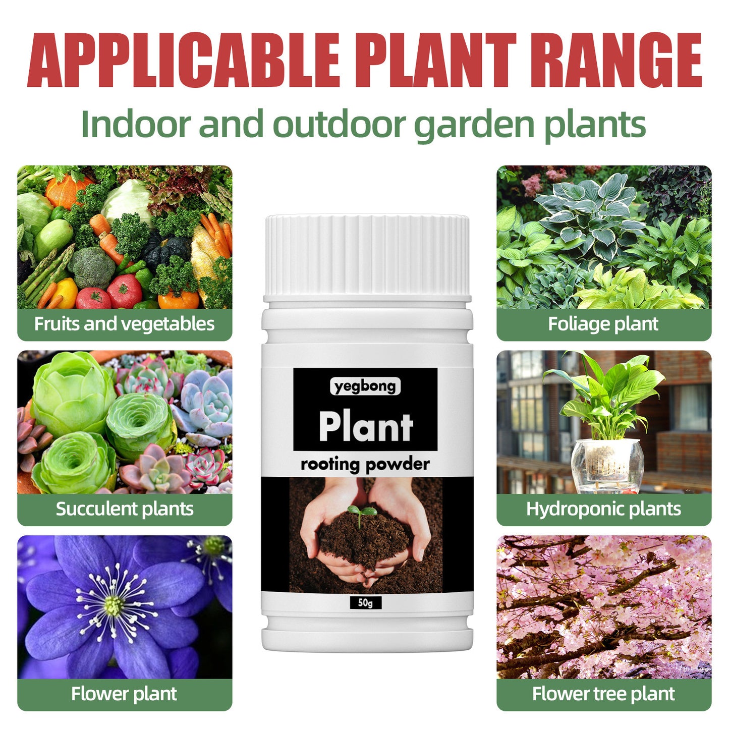 Universal Root-Promoting Nutrient Powder for Transplanting Trees and Fruit Trees