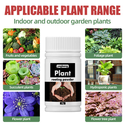 Universal Root-Promoting Nutrient Powder for Transplanting Trees and Fruit Trees