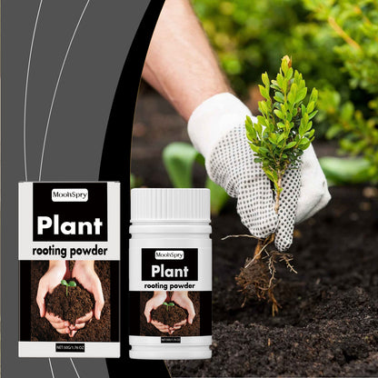 Universal Root-Promoting Nutrient Powder for Transplanting Trees and Fruit Trees