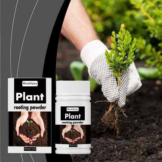 Universal Root-Promoting Nutrient Powder for Transplanting Trees and Fruit Trees