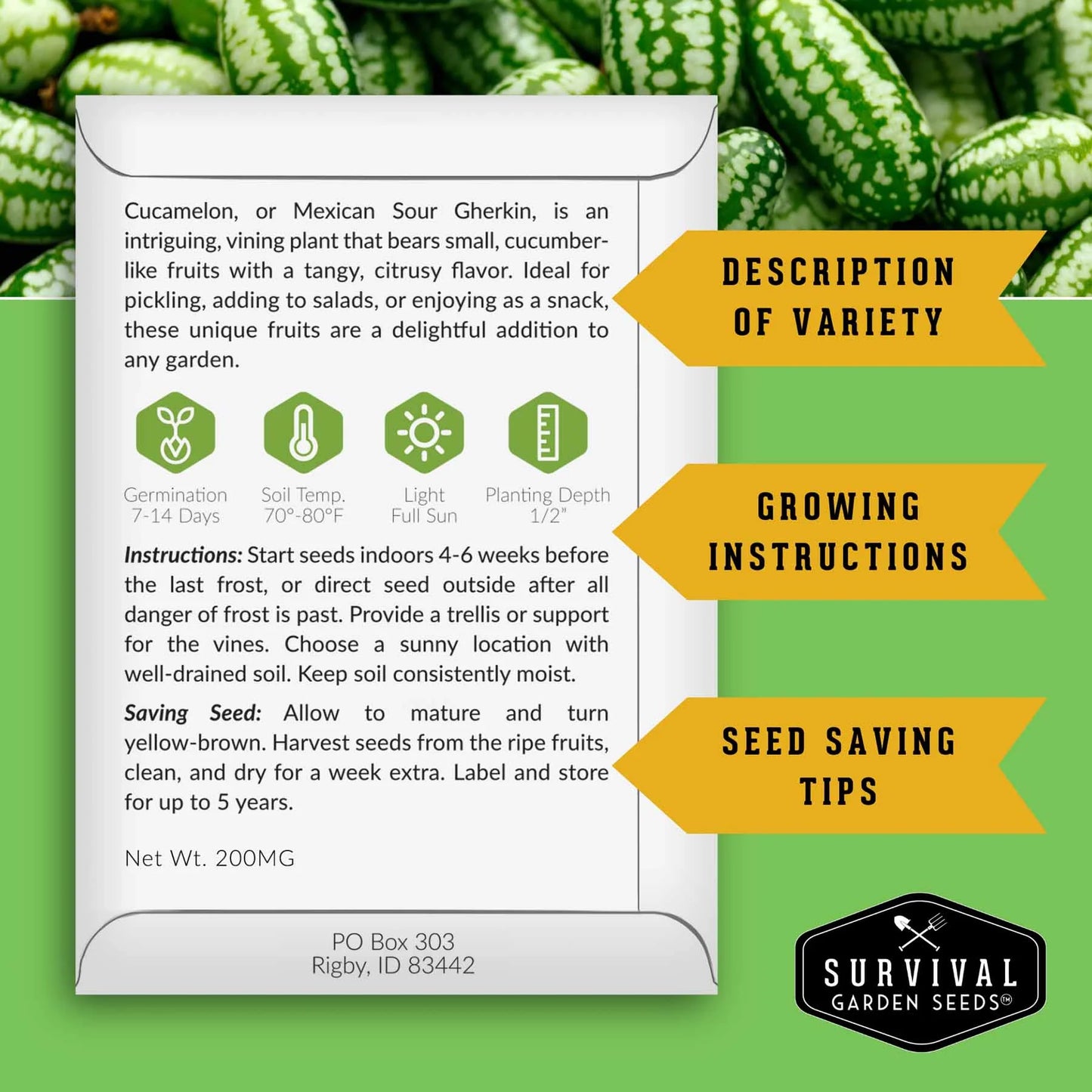300PCS Cucamelon Seeds – Heirloom Mexican Sour Gherkin, Non-GMO Miniature Watermelon-Look Cucumbers
