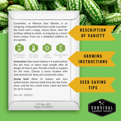 300PCS Cucamelon Seeds – Heirloom Mexican Sour Gherkin, Non-GMO Miniature Watermelon-Look Cucumbers