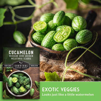 300PCS Cucamelon Seeds – Heirloom Mexican Sour Gherkin, Non-GMO Miniature Watermelon-Look Cucumbers