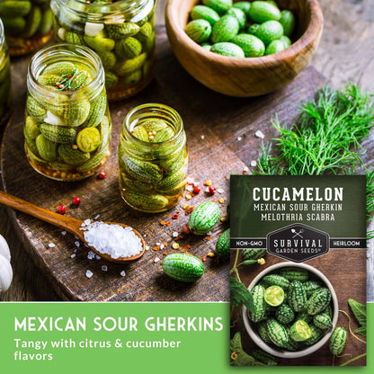 300PCS Cucamelon Seeds – Heirloom Mexican Sour Gherkin, Non-GMO Miniature Watermelon-Look Cucumbers