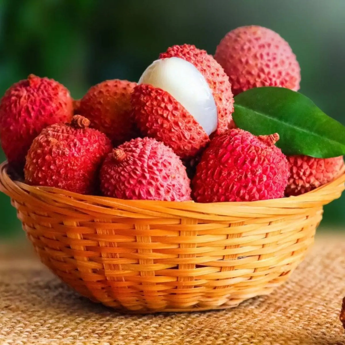 50 Giant Lychee Seeds Exotic Fruit Heirloom Sweet Tropical Fruit Litchi Chinensis Seed