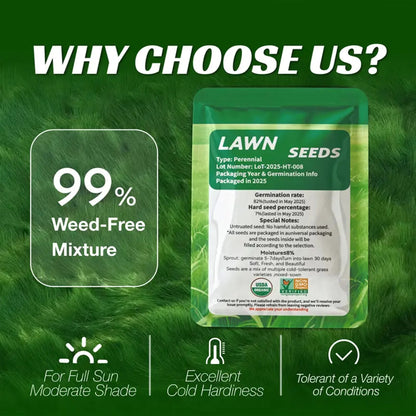 Grass Seed and Shade Grass, Grows Quickly and Withstands All Seasons