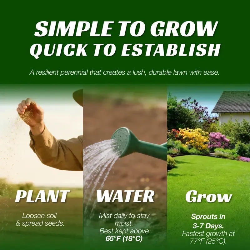 Grass Seed and Shade Grass, Grows Quickly and Withstands All Seasons