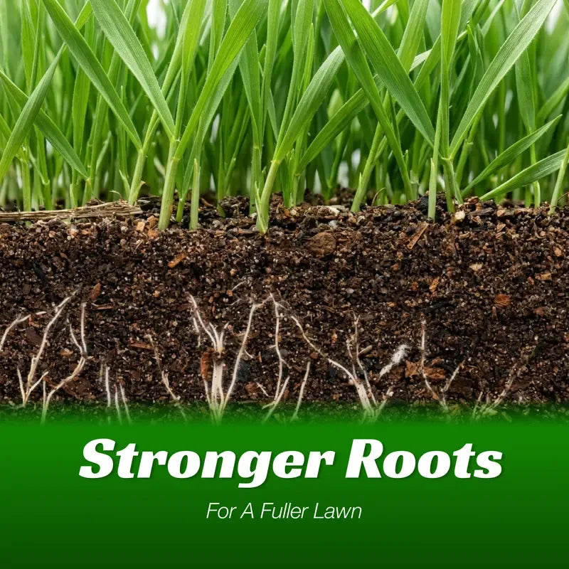 Grass Seed and Shade Grass, Grows Quickly and Withstands All Seasons