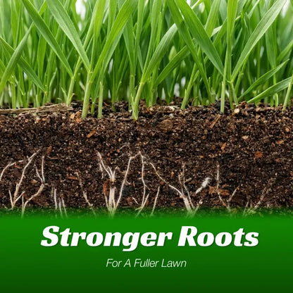Grass Seed and Shade Grass, Grows Quickly and Withstands All Seasons