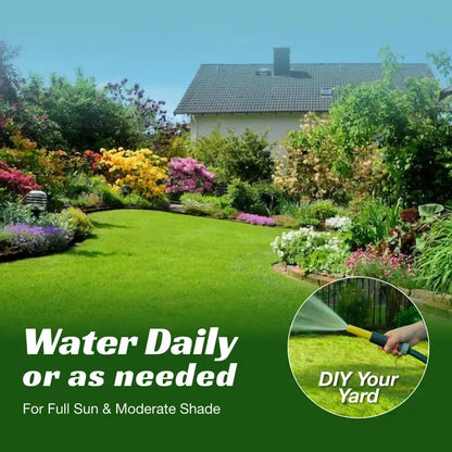 Grass Seed and Shade Grass, Grows Quickly and Withstands All Seasons