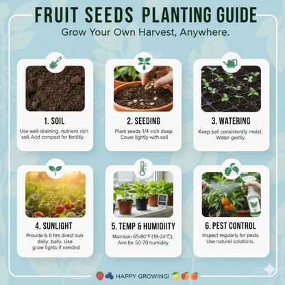 100 Custard Apple Seeds - Tropical Exotic Delicious Sweet Fruits - Non-GMO Fruit Seed